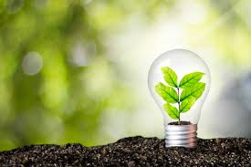 Entrepreneur social
